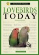 Lovebirds today : a complete and up-to-date guide