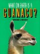 What on earth is a guanaco?