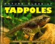 Tadpoles