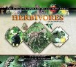 Herbivores in the food chain