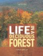 Life in a deciduous forest