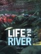 Life in a river