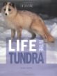 Life in the tundra