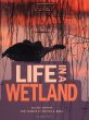 Life in a wetland