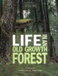 Life in an old growth forest