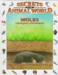 Moles : champion excavators