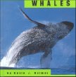 Whales