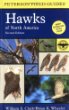 A field guide to hawks of North America