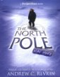 The North Pole was here : puzzles and perils at the top of the world