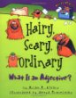 Hairy, scary, ordinary : what is an adjective?