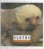 Sloths