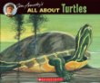 All about turtles