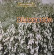 Blizzards