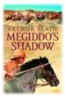 Megiddo's shadow