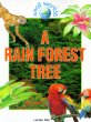 A rain forest tree