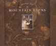 Mountain lions