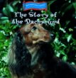 The story of the dachshund