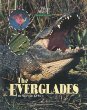 The everglades