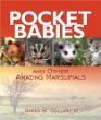 Pocket babies and other marsupials