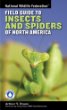 Field guide to insects and spiders & related species of North America