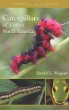 Caterpillars of eastern North America : a guide to identification and natural history