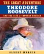 The great adventure : Theodore Roosevelt and the rise of modern America