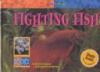 Fighting fish