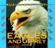 Eagles and Osprey.