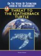 Threat to the leatherback turtle