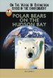 Polar bears on the Hudson Bay
