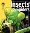 Insects & spiders