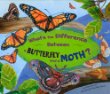 What's the difference between a butterfly and a moth?