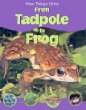 From tadpole to frog