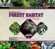 Food chains in a forest habitat