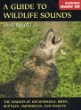 A guide to wildlife sounds