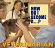 Veterinarian