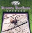 Brown recluse spiders