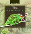 The chameleon