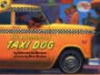 The adventures of taxi dog