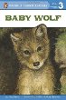 Baby wolf