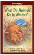 What do animals do in winter?