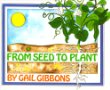From seed to plant