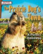 The prairie dog's town : a perfect hideaway