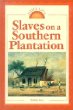 Slaves on a Southern plantation