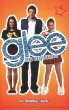 Glee : the beginning : an original novel