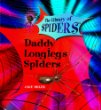 Daddy longlegs spiders
