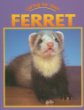 Caring for your ferret