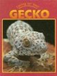Caring for your gecko