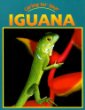 Caring for your iguana