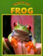 Caring for your frog